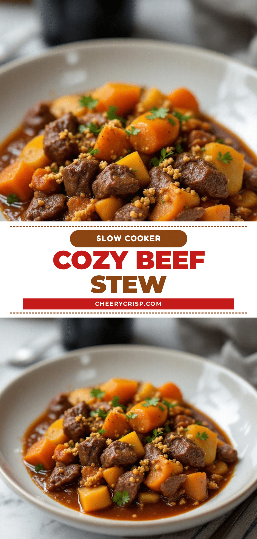 slow cooker beef stew with red wine recipe