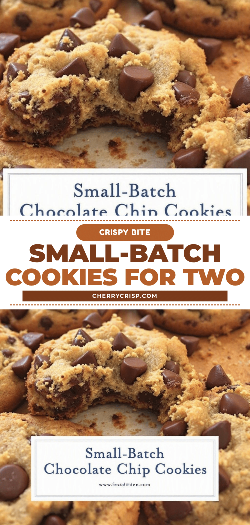small-batch chocolate chip cookies for two recipe