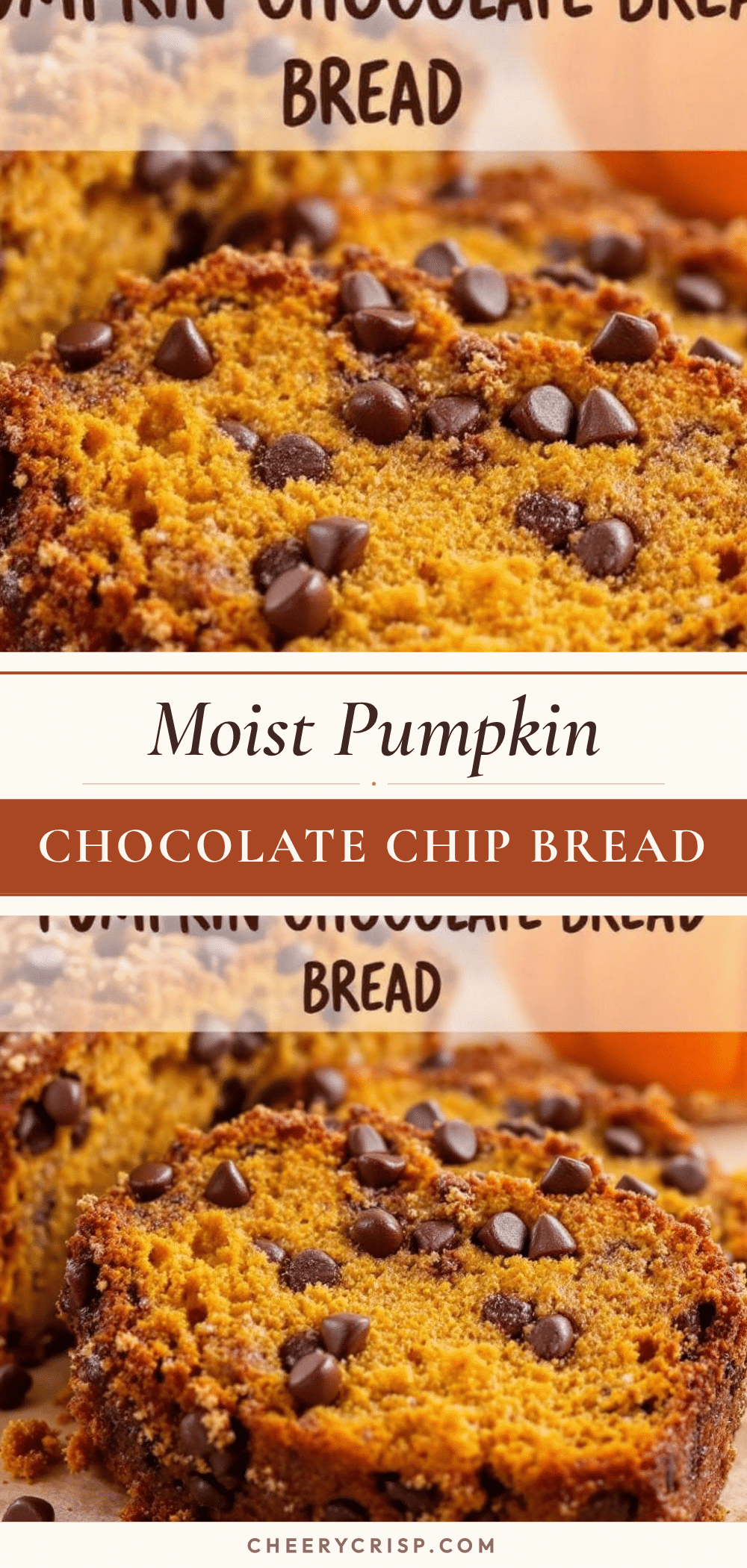 small-batch pumpkin chocolate chip bread recipe