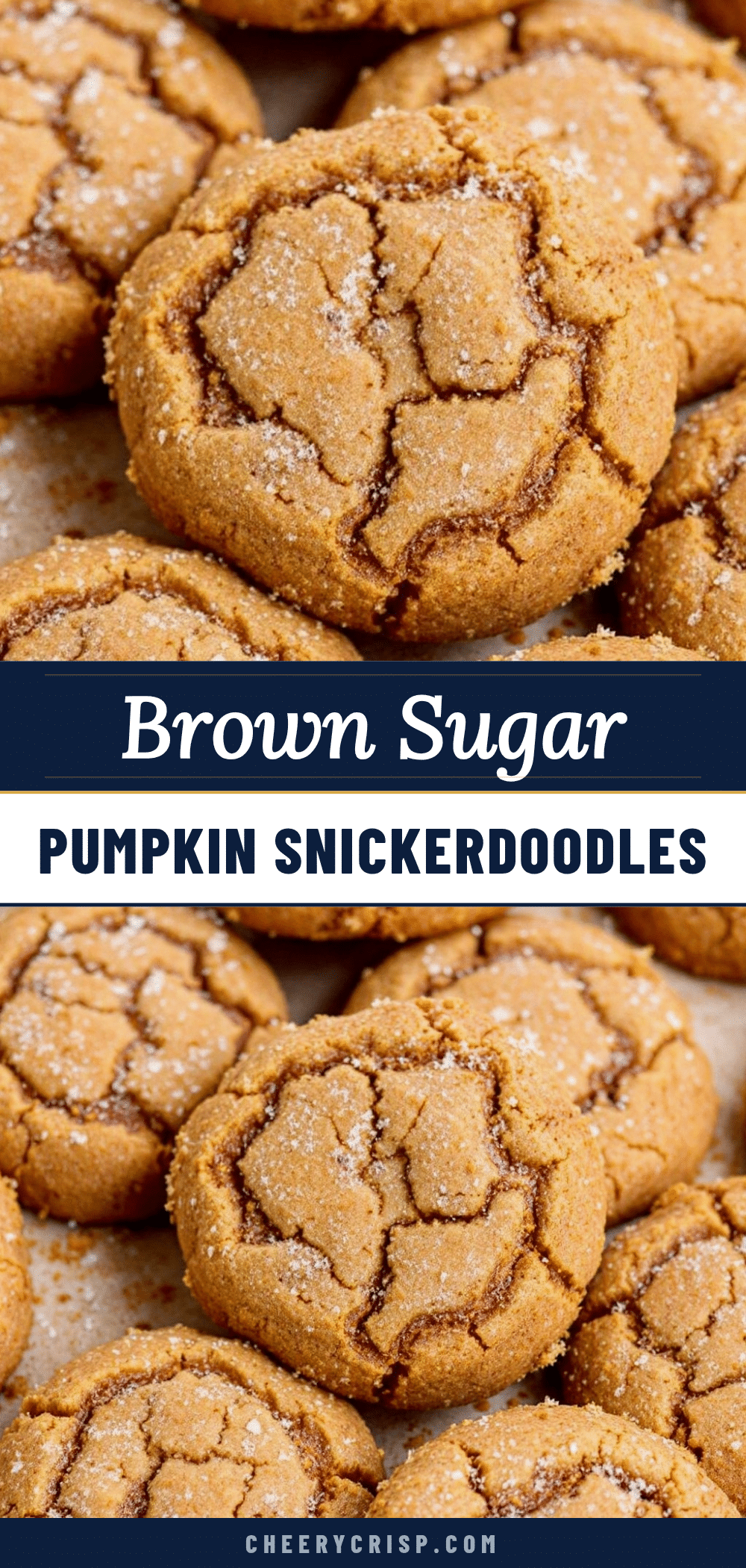 soft chewy brown sugar pumpkin snickerdoodle cookies recipe