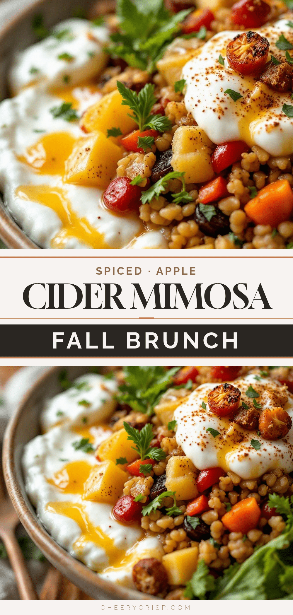 Spiced apple cider mimosa recipe