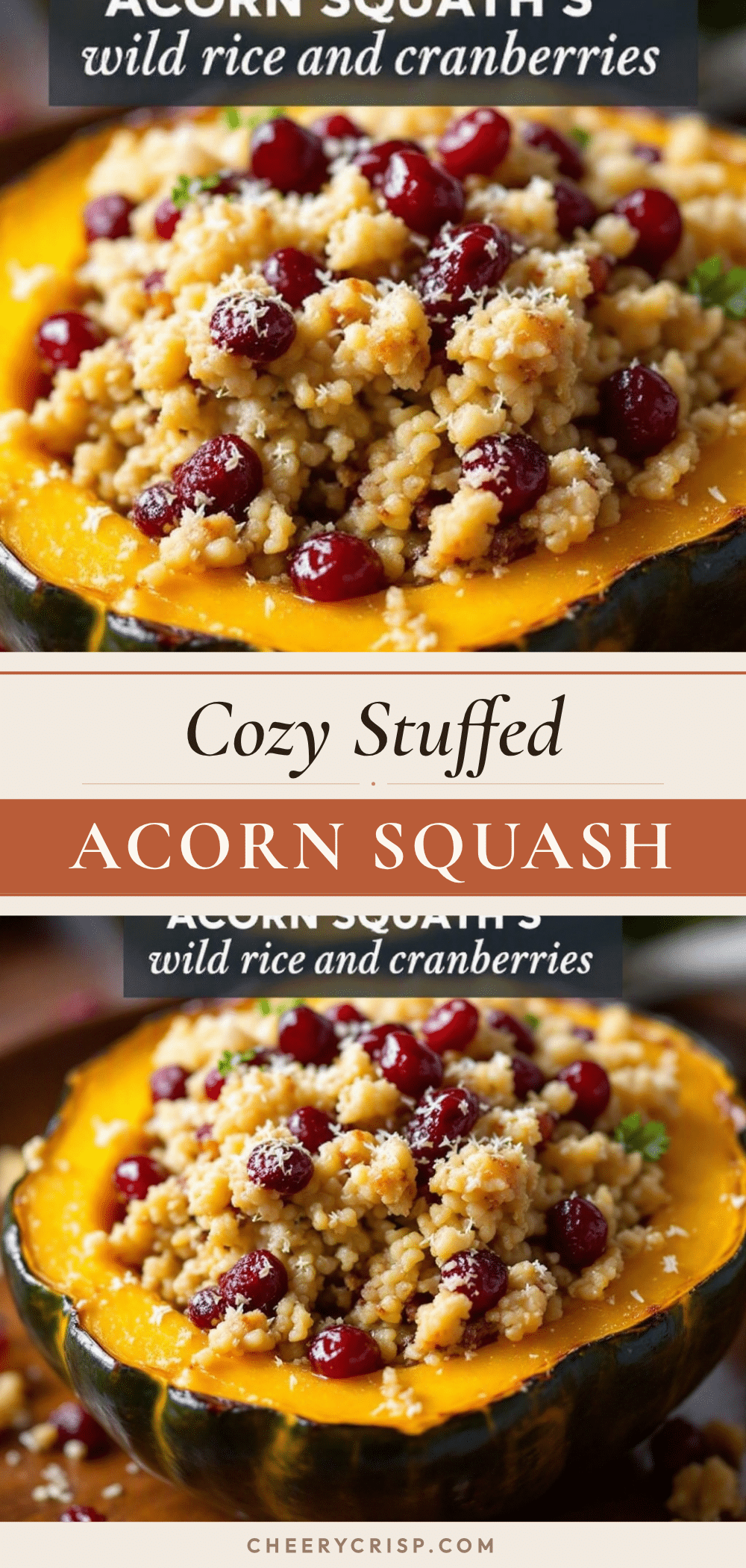 stuffed acorn squash recipe