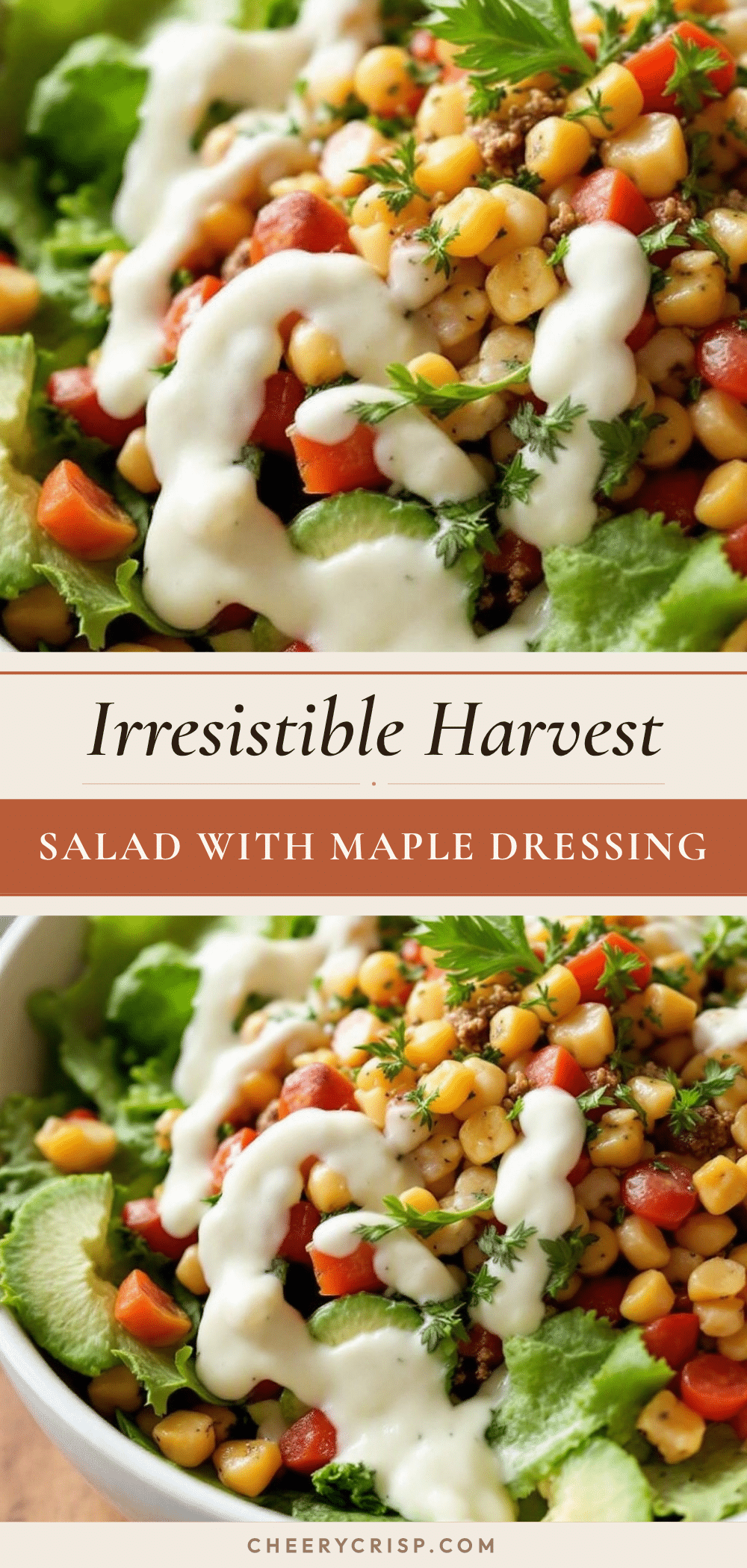 Wholesome Harvest Fall Salad recipe